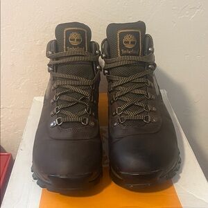 Timberland Men's Hiking Dark Brown Leather Boots